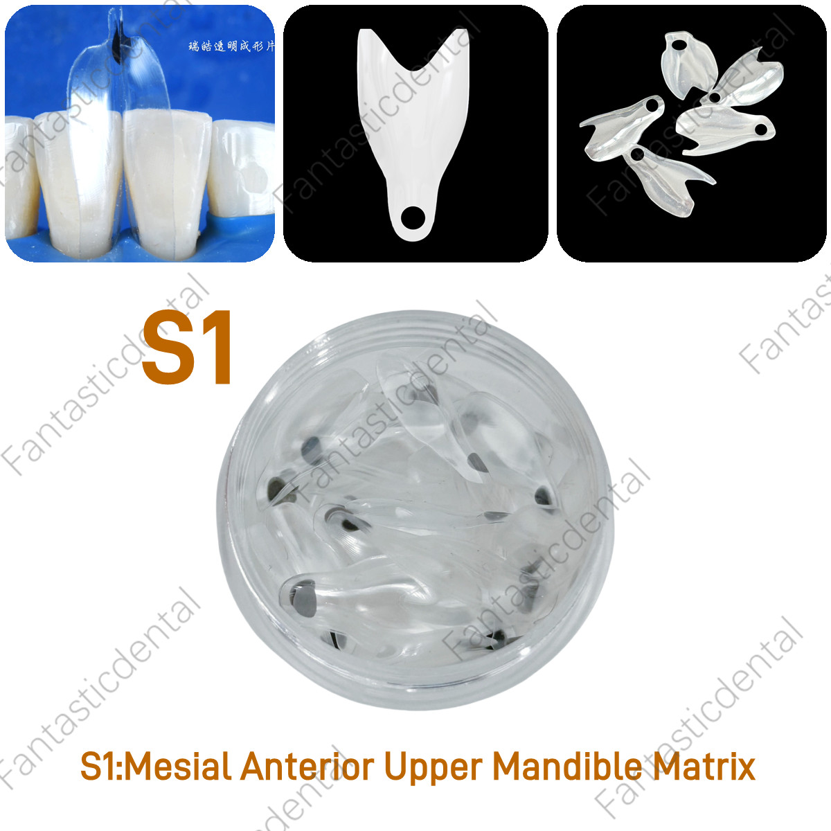 Dental Transparent Matrix Clear Bow Matrice Band Anterior Front Bioclear TorVM