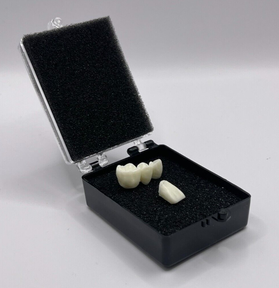 50 Pack, 2″ Black Crown Foam Case Container Hinged Display Box Jewelry Teeth