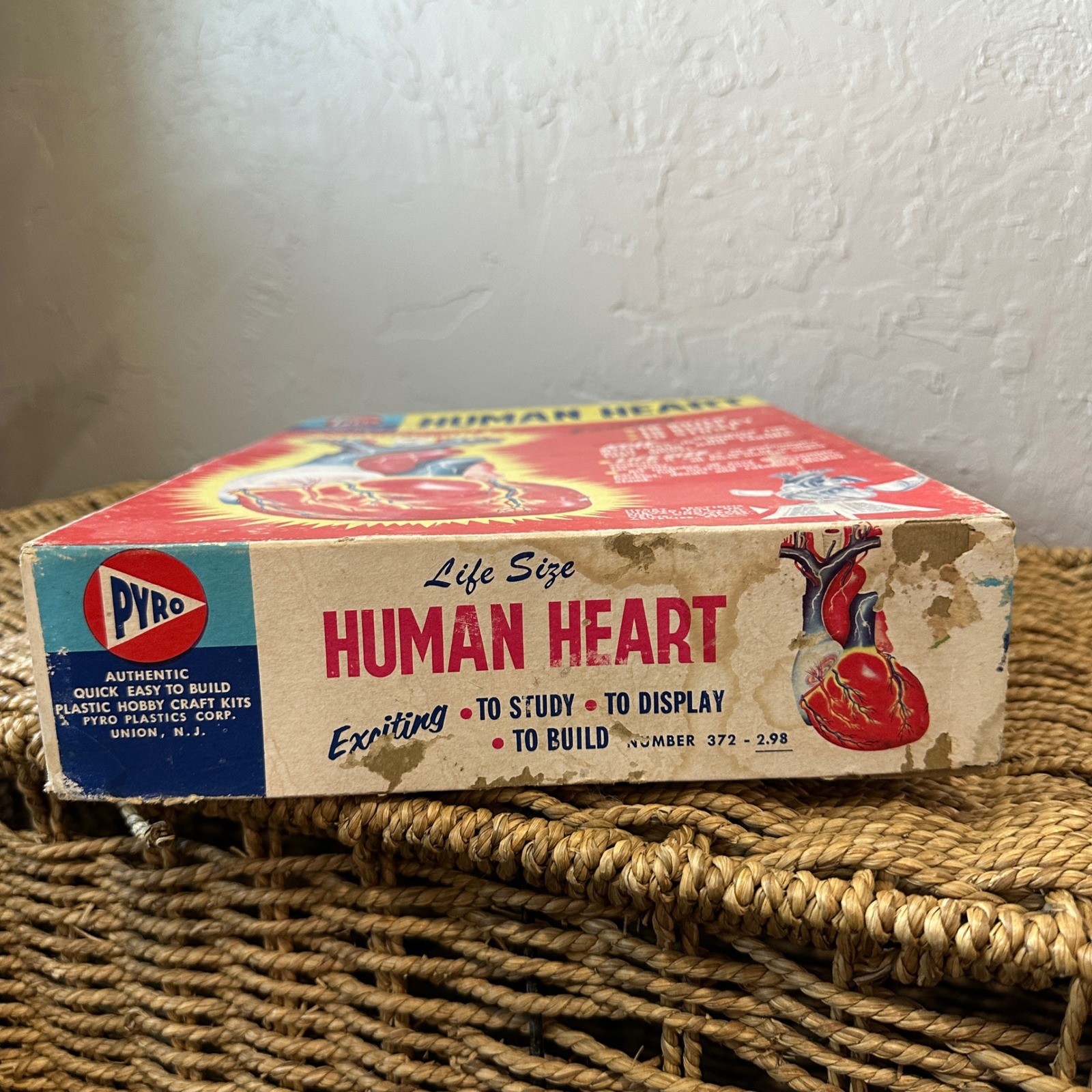 Vintage Pyro Human Heart Life Size Anatomical Model Kit Science Medical Display