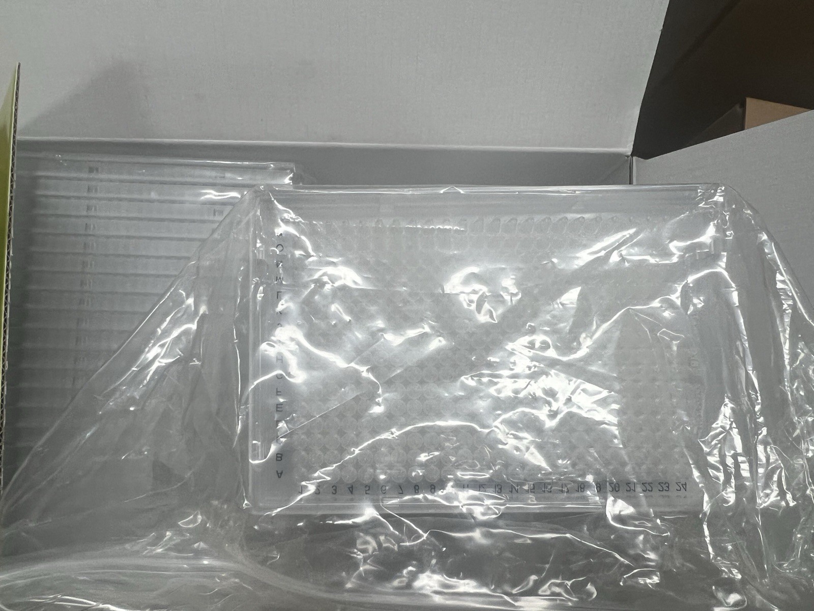 Lot Of 8 Bio-Rad Hard Shell 384 PCR Plate, Thin Wall, Clear/clear HSP3801 50/pk