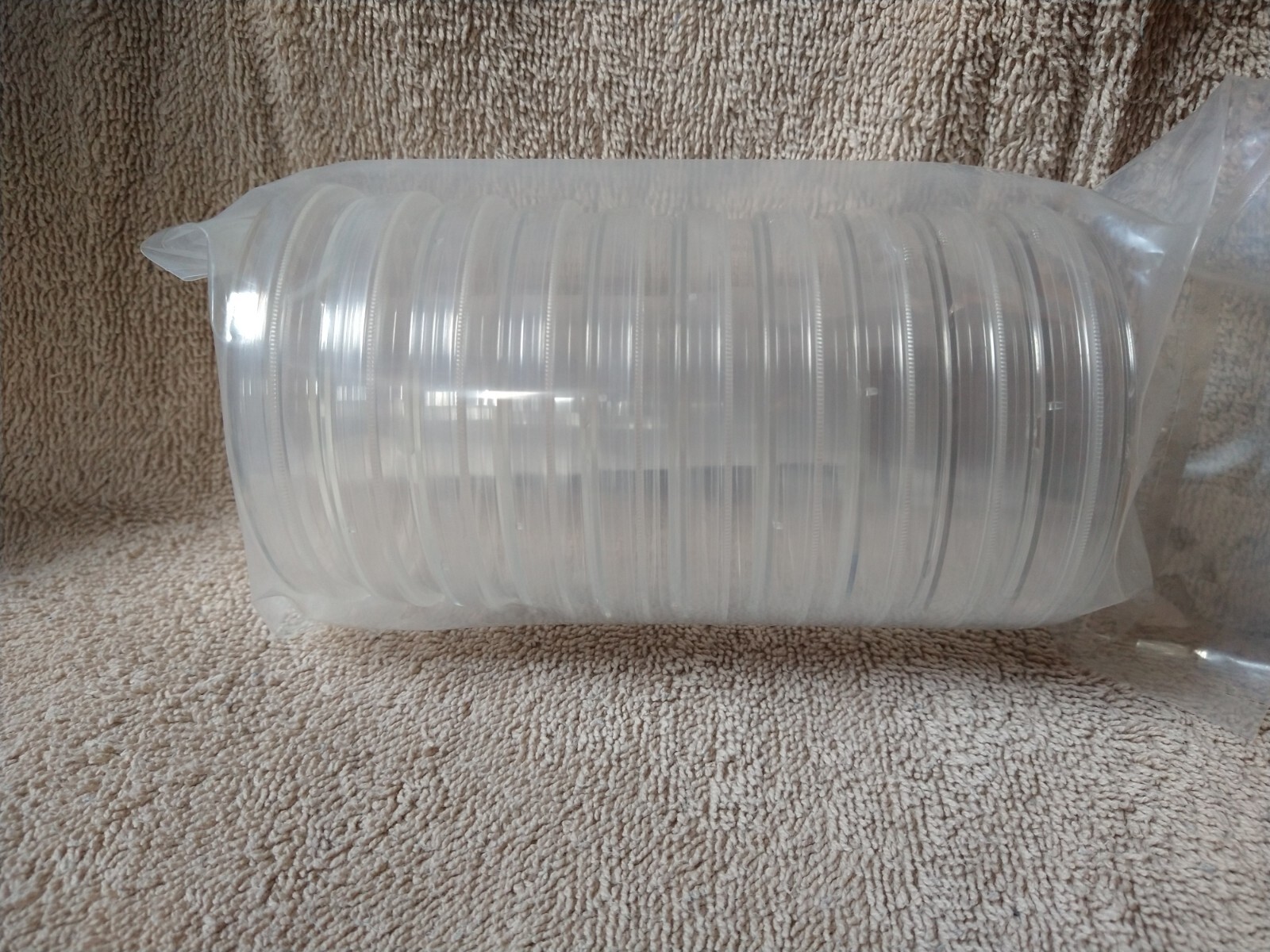10 pack CellTreat 229693 Petri Dishes 100mm x 15mm NEW Mad Lab Halloween Prop FX