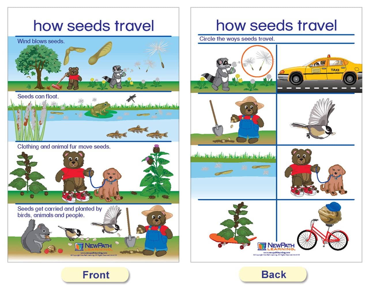 Newpath Learning Newpath All About Plants Bulletin Board Charts – English