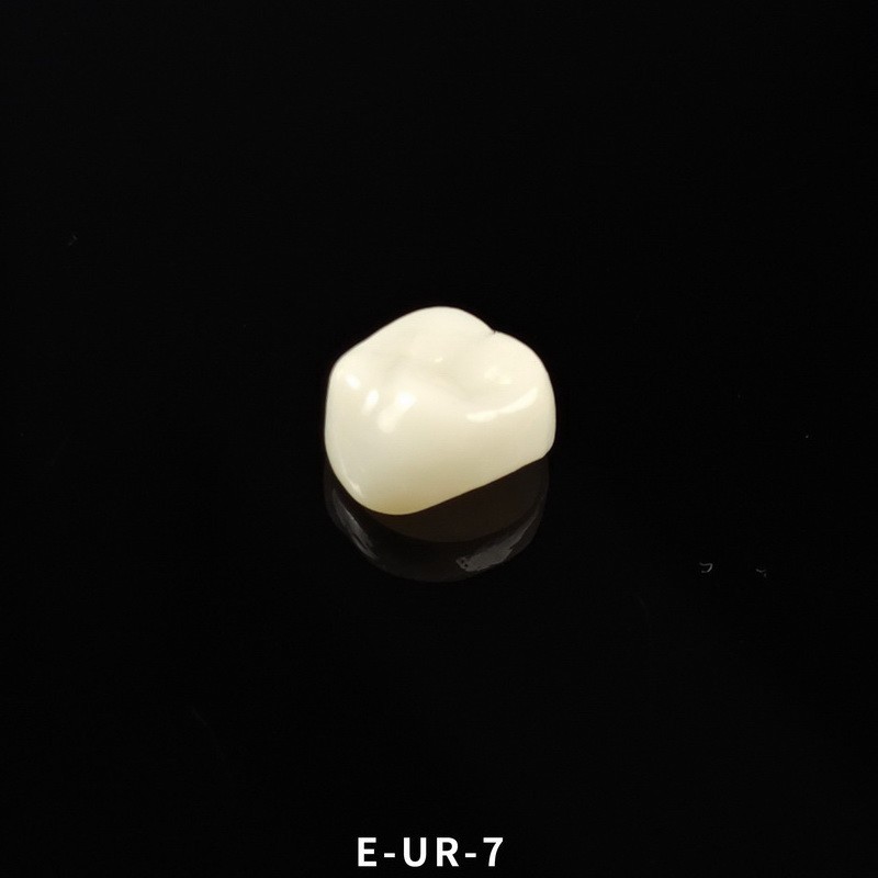 Dental Kids Zirconia Crowns Anterior/Posterior Teeth Primary Molar Crown 1pc/box