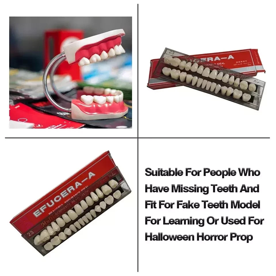 28 Pcs/Set Dental A2 A3 Acrylic Resin Denture Shade Full Set False Teeth #23