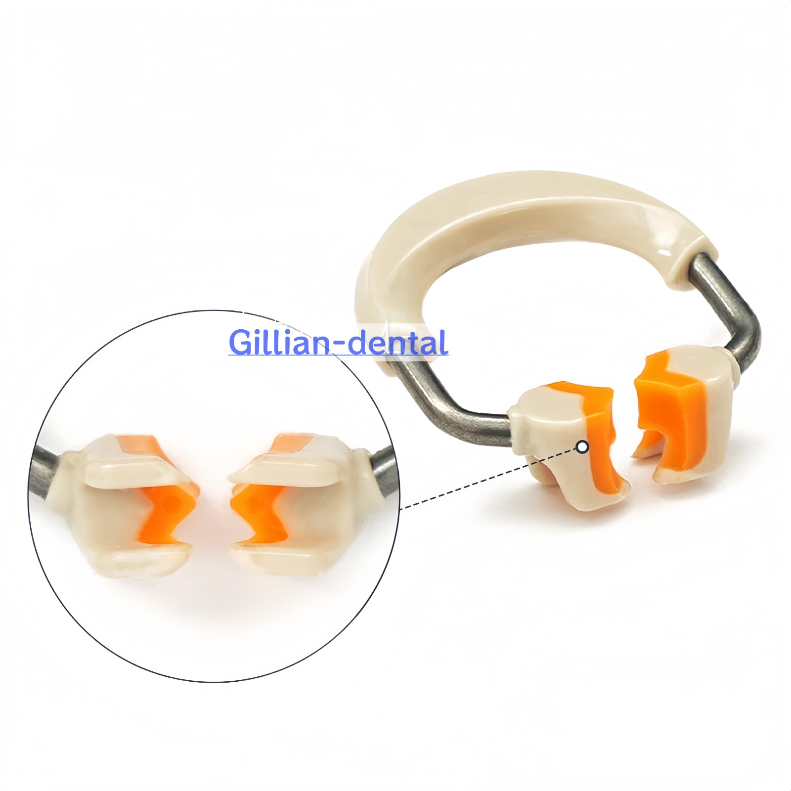 Dental Ortho Sectional Matrix System Nickel Titanium Alloy Matrices Clip Ring