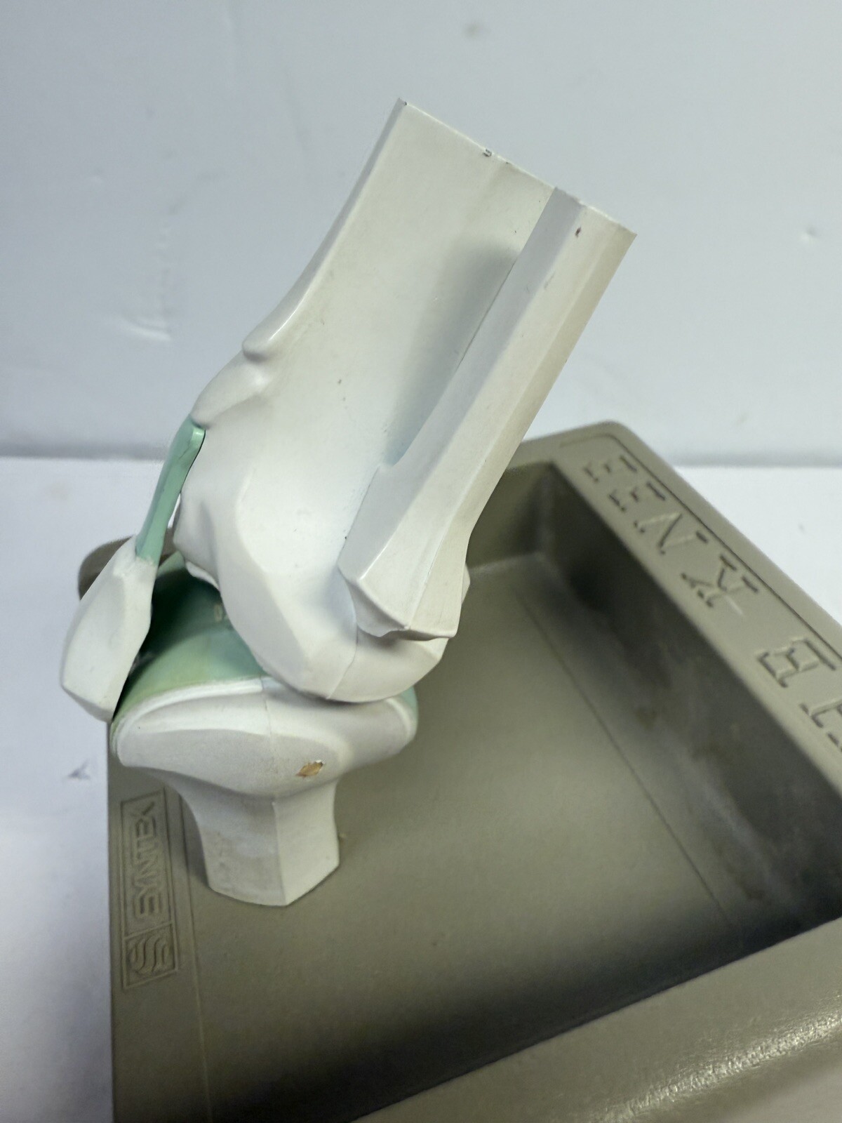 Naprosyn knee Medical Anatomical model ad Display