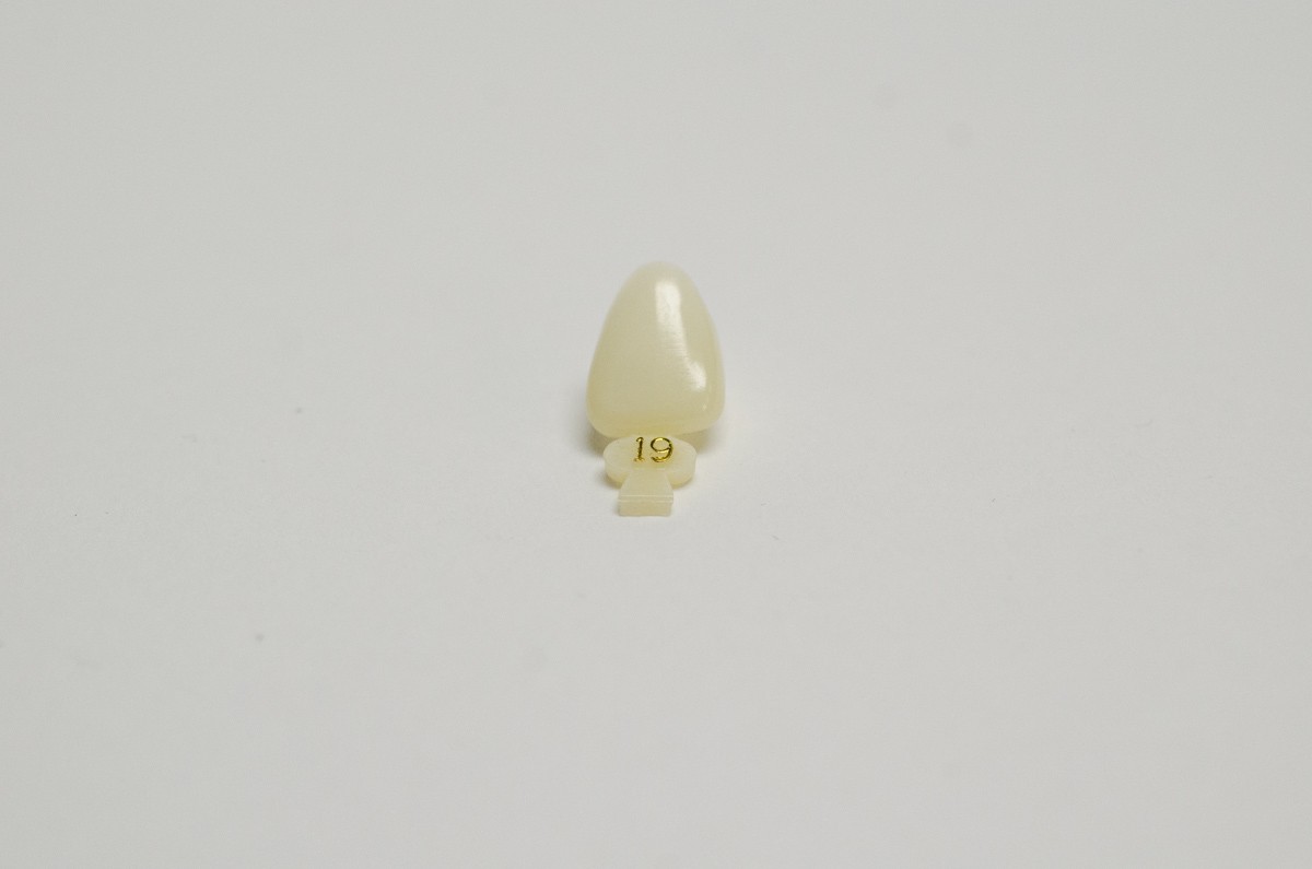 DENTAL POLYCARBONATE TEMPORARY CROWNS #19 (ULC) UPPER LEFT CENTRAL 5/PACK