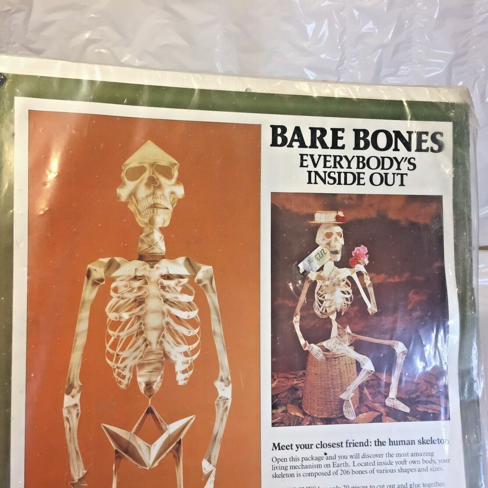 Vtg Halloween Bare Bones Human Paper Mobile Skeleton Model by David Hawcock NIP