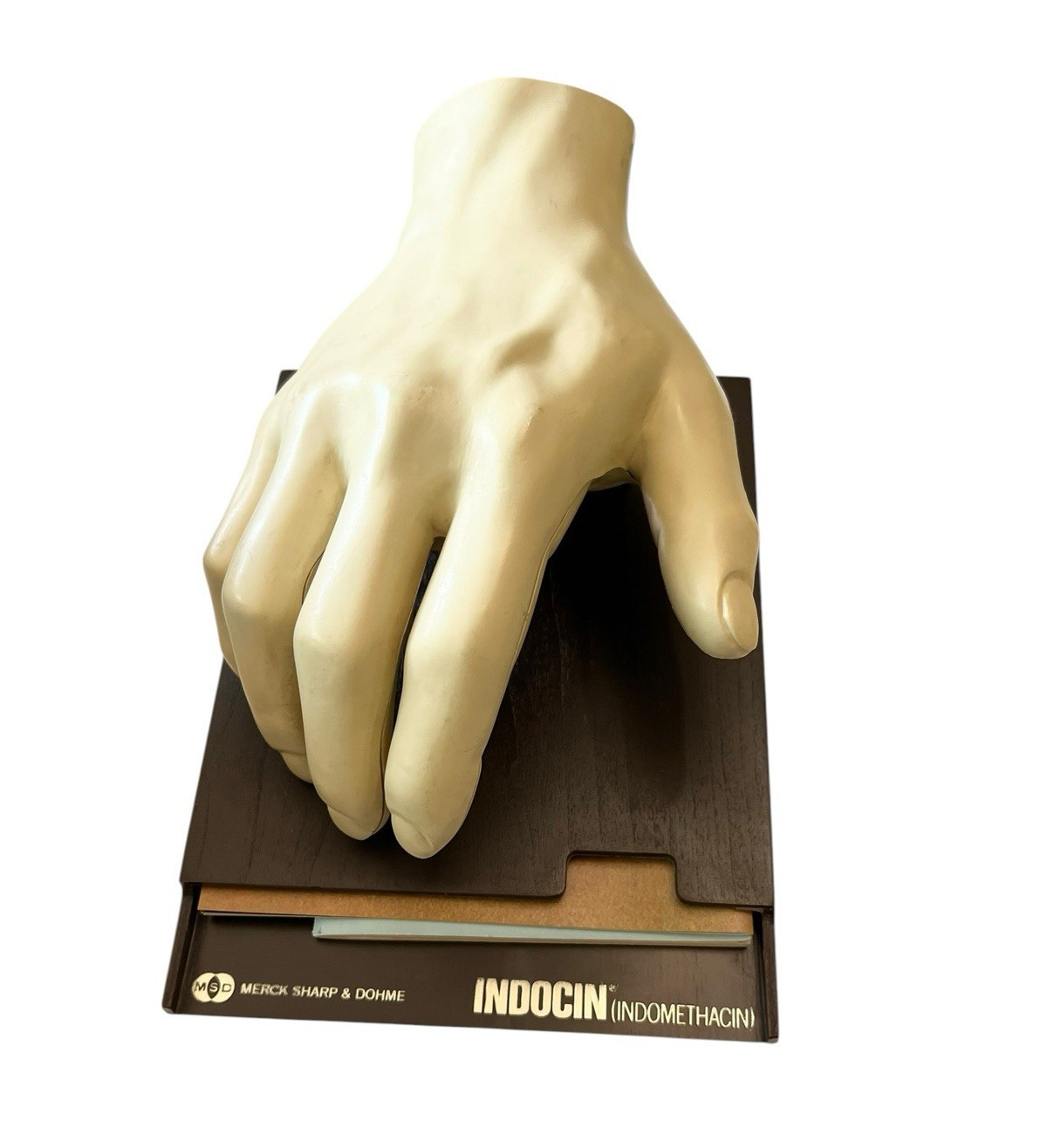 Vintage Merck Anatomical Medical Hand Model Indocin With Booklets 1967 Display