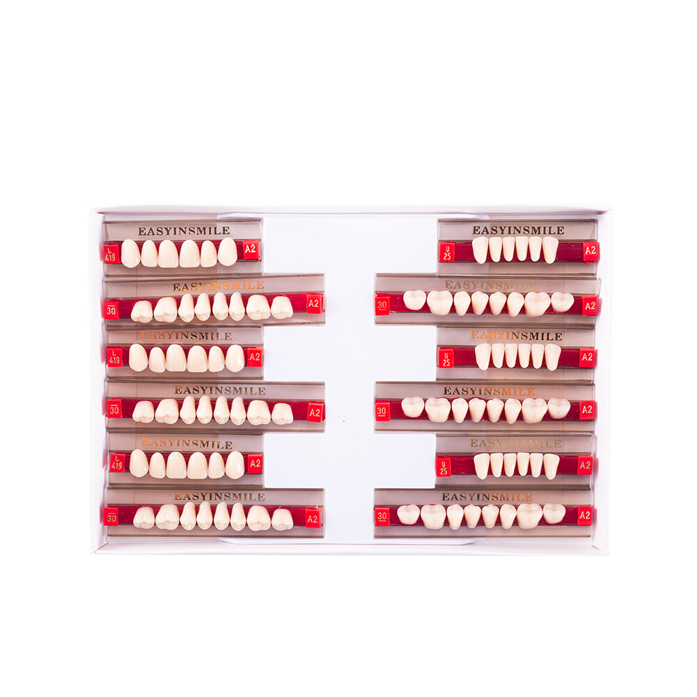 Dental Teeth Set Dental Acrylic Resin Denture A1/2/3 Tooth Posterior Upper/Lower