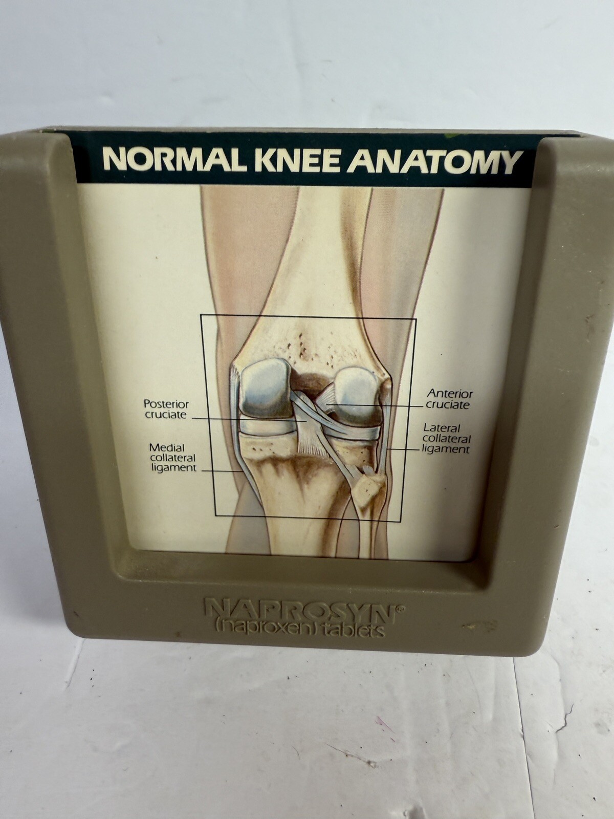 Naprosyn knee Medical Anatomical model ad Display