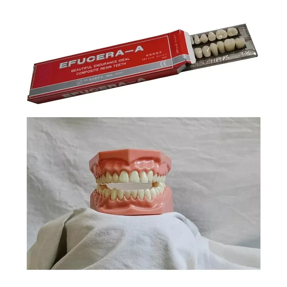 28 Pcs/Set Dental A2 A3 Acrylic Resin Denture Shade Full Set False Teeth #23
