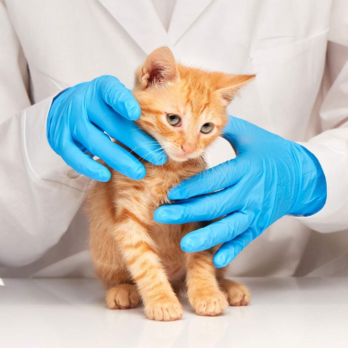 10-2000 pcs BASIC Nitrile Gloves M-Size **Buy One, Get One at 50% Off!