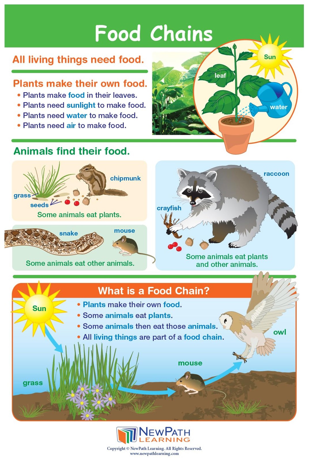 1 Science Anchor Charts Set of 10 (12×18″) & 25-Page Resource Guide Covering …