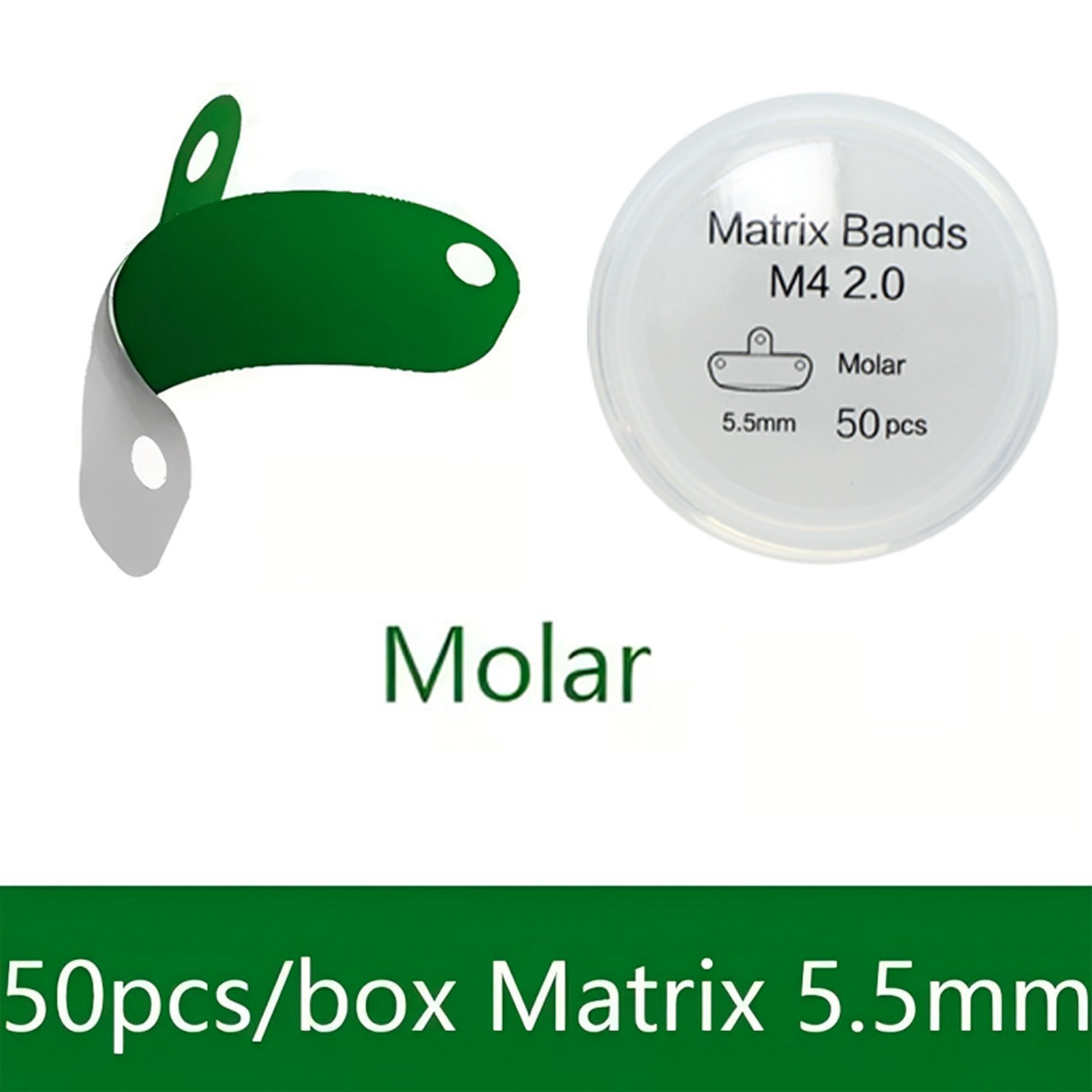 Dental Sectional Matrix Bands M4 1.0 2.0 With Holes 3.5/4.5/5.5/6.5mm Non-Stick
