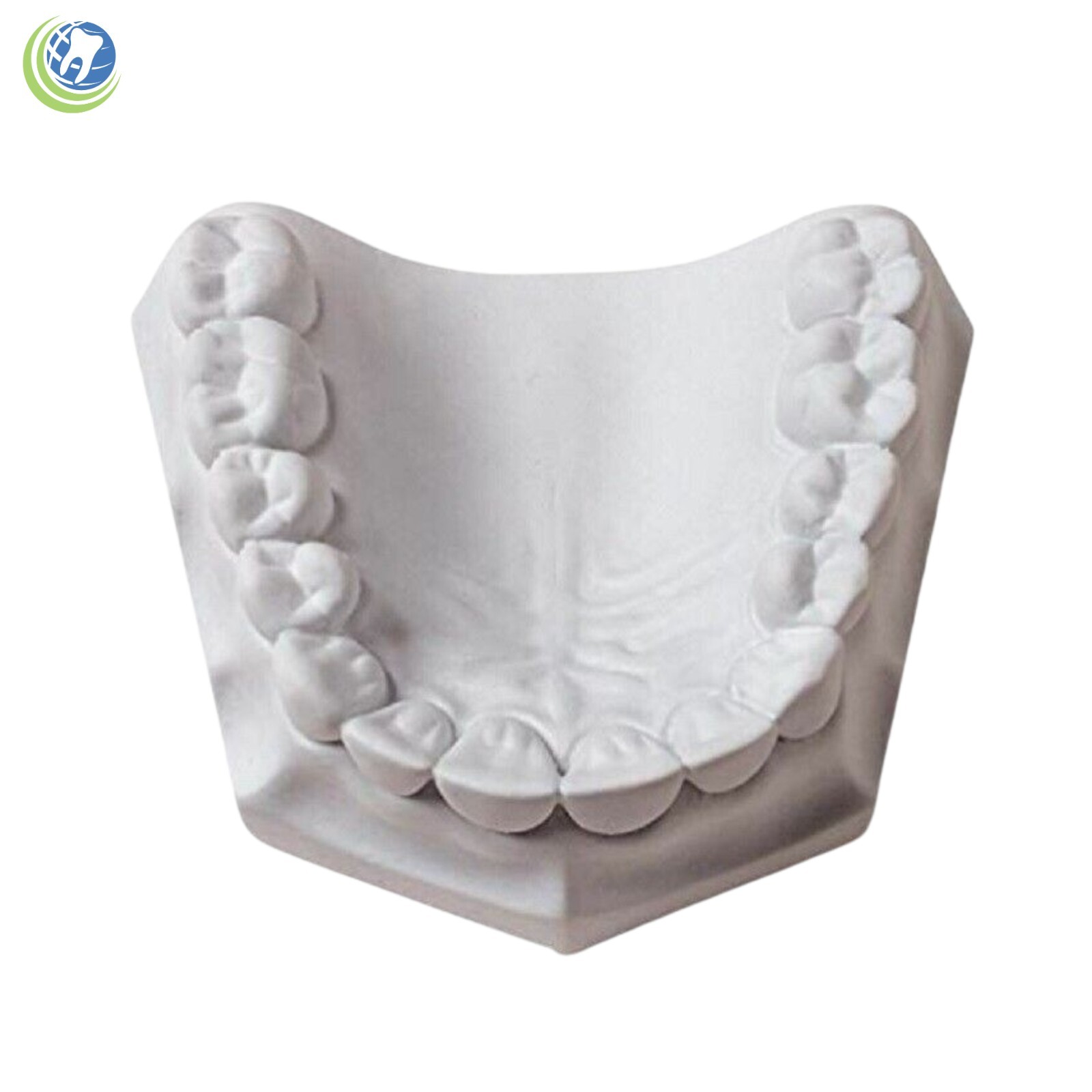DENTAL LAB PLASTER CREAMY WHITE TYPE II REGULAR SET 3 Lbs.
