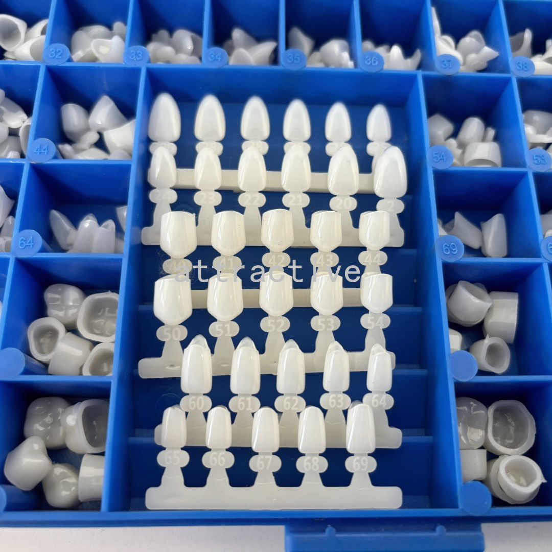 Temporary Dental Crowns 66Size Crown Mold Guides Premolar Molar Anterior Cuspid