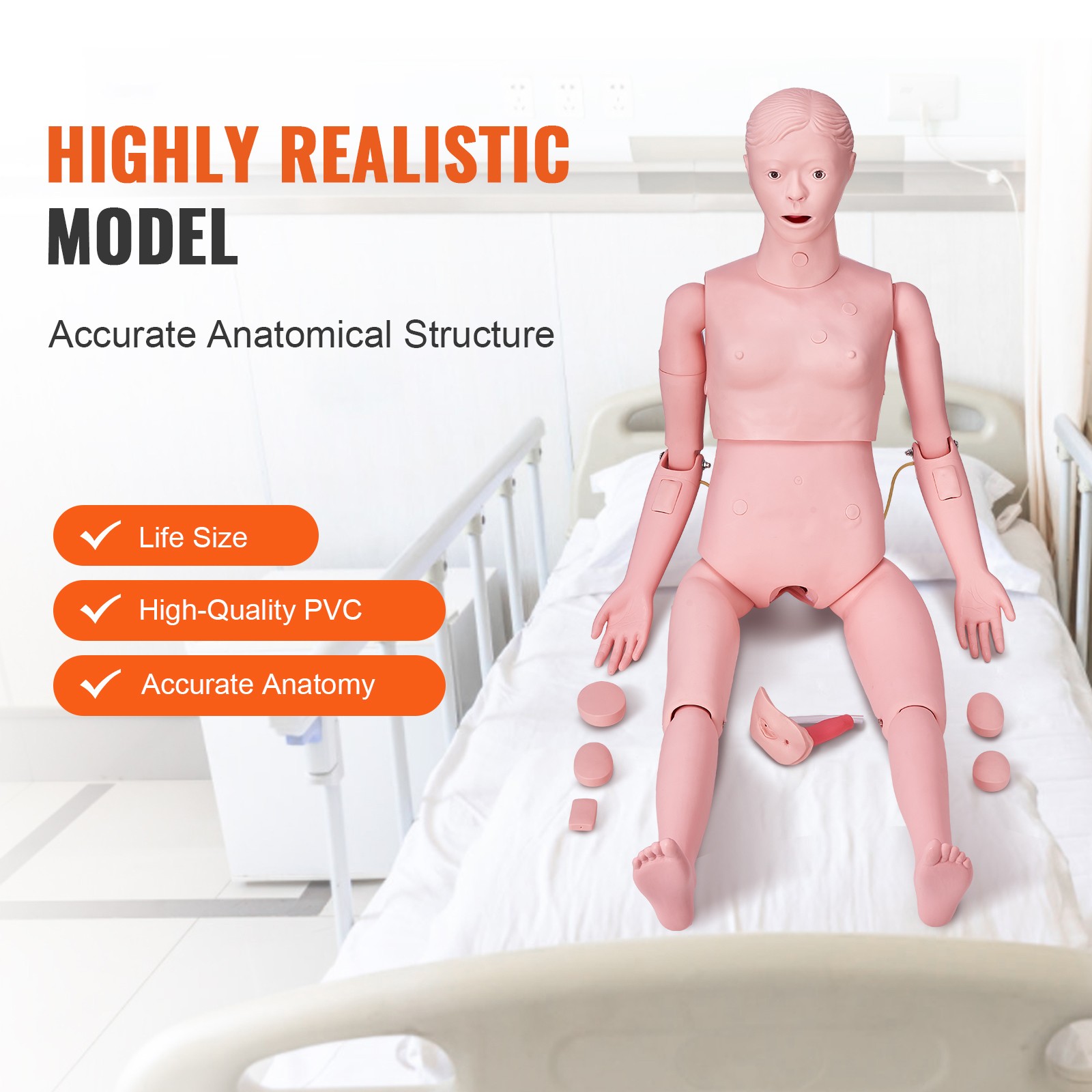 VEVOR Female Manikin Model Anatomical Nursing Training Patient Care Practice