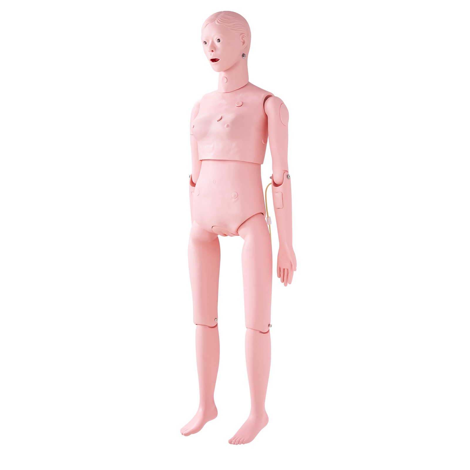 VEVOR Female Manikin Model Anatomical Nursing Training Patient Care Practice
