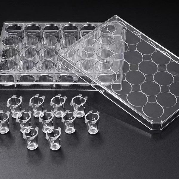 3D Cell Culture Plate Insert™ Hanging, PET, 0.4/3/8μm, 6 Pcs/PK, 24 Pcs/CS