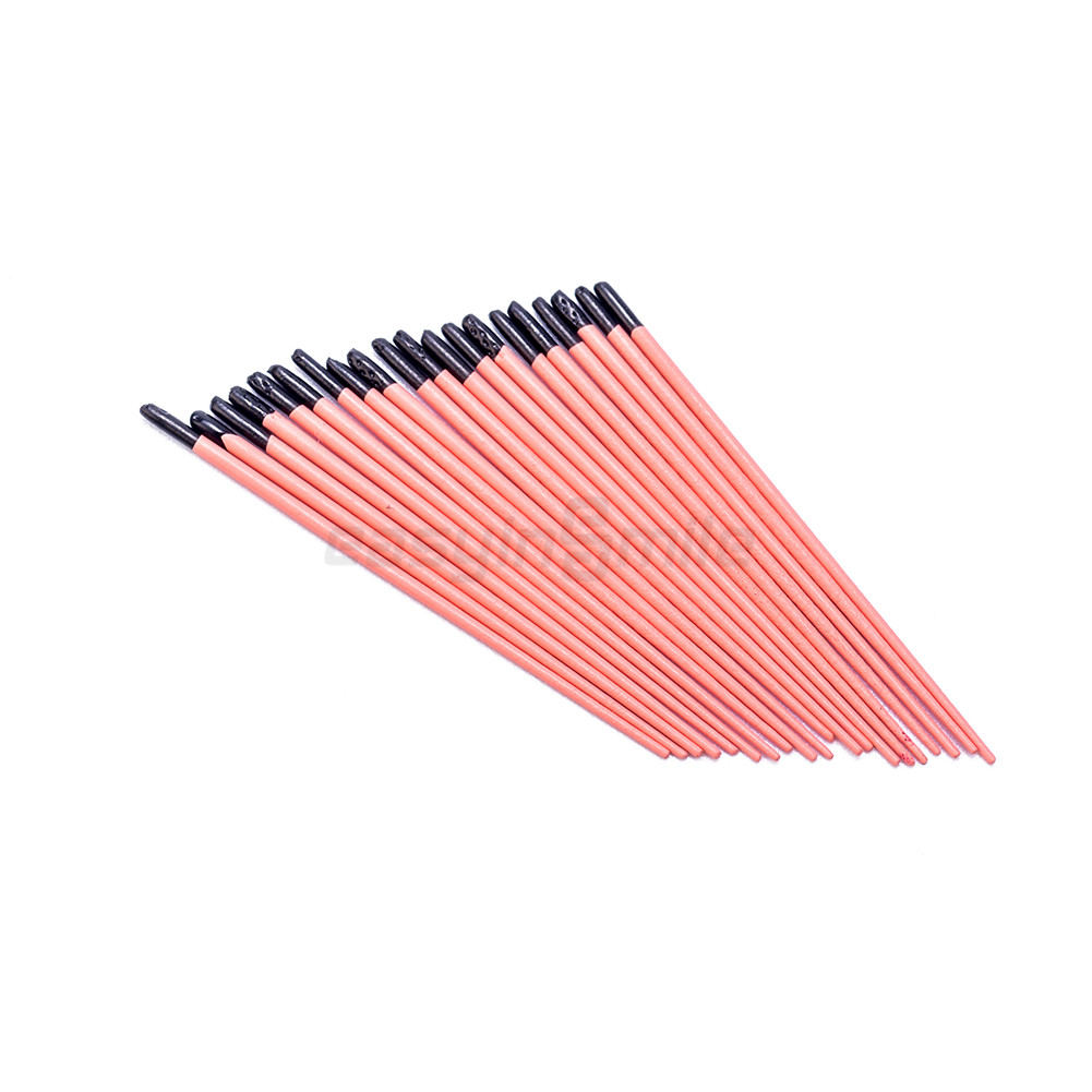 Endodontic Gutta Percha Point Taper 02/04/06 GP Points for Dentistry Bottle Pack