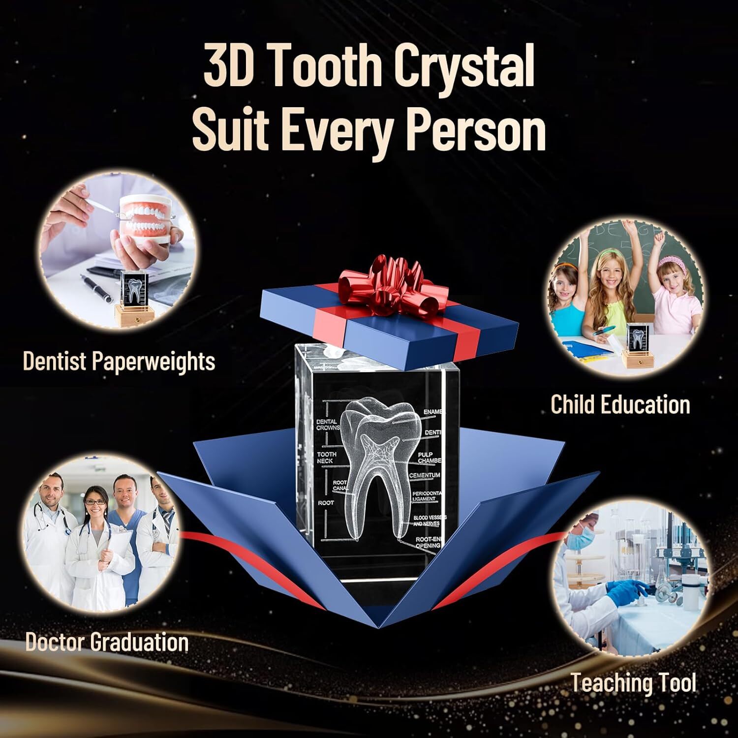 3D Human Crystal Tooth Model for Medical Dental Educational Science Office Decor