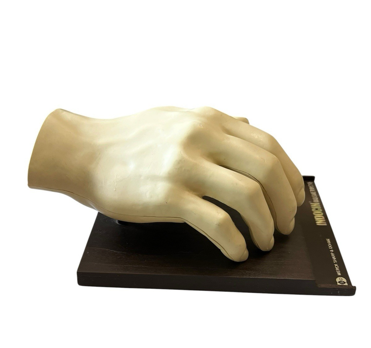 Vintage Merck Anatomical Medical Hand Model Indocin With Booklets 1967 Display