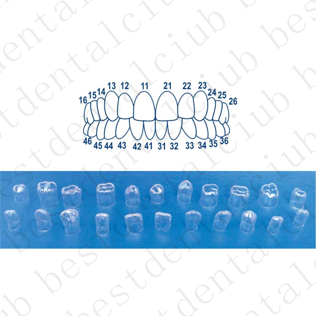 Dental Anterior Transparent Forms For Temporary Crowns No1.910 Kit TOR VM 64Pcs