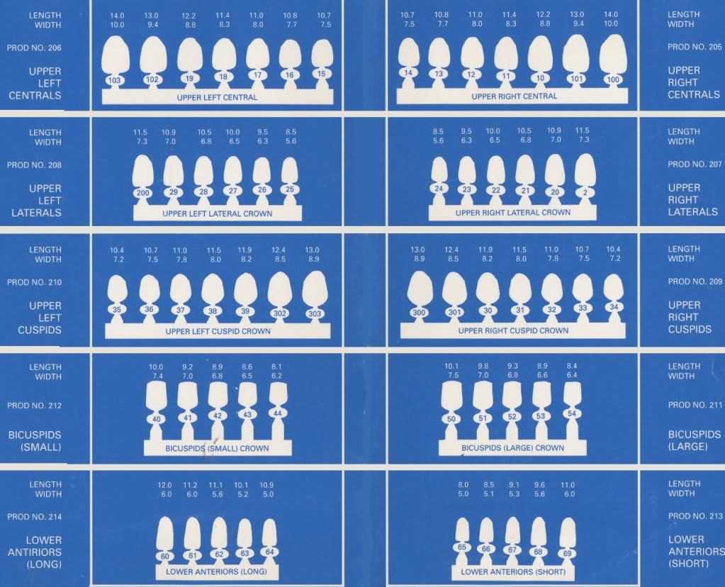 DENTAL POLYCARBONATE TEMPORARY CROWNS #64 (LAL) LOWER ANTERIOR LONG 5/PACK