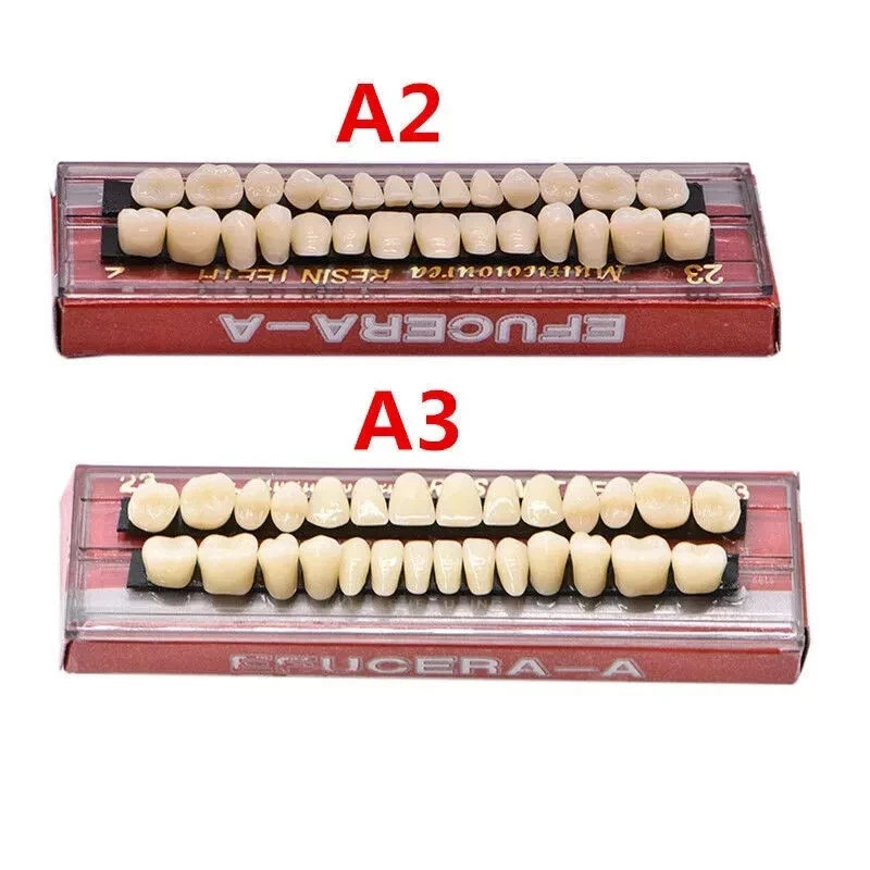 28 Pcs/Set Dental A2 A3 Acrylic Resin Denture Shade Full Set False Teeth #23