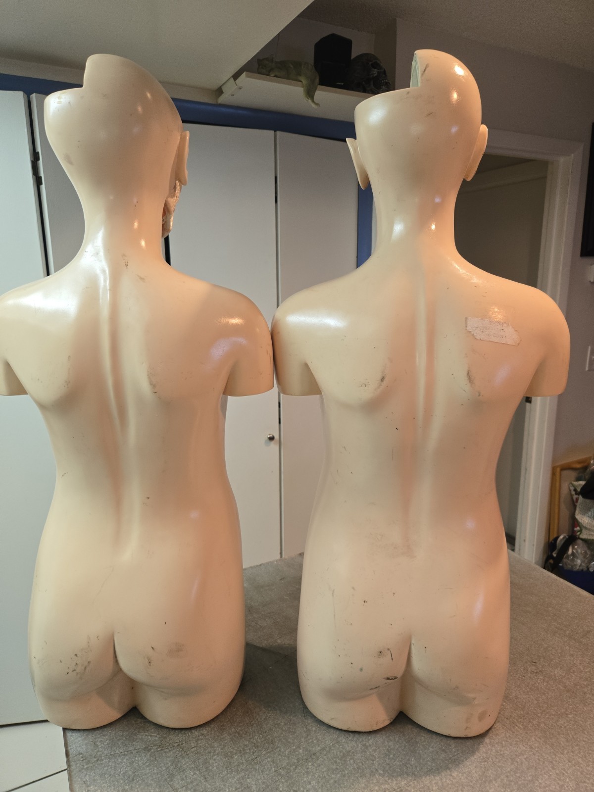 2 Qty Denoyer Geppert Anatomy Human Body Teaching Medical Torso Model. AS-IS