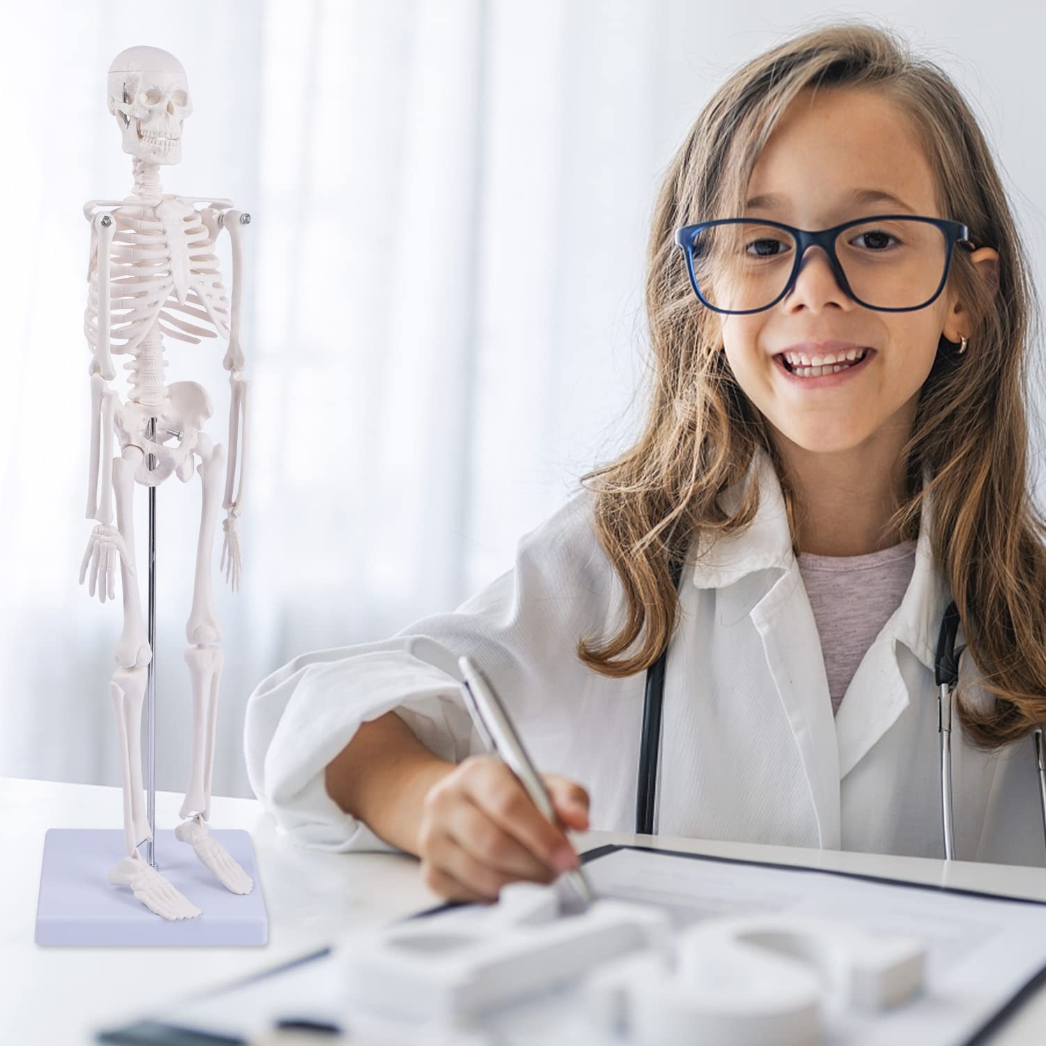 NLShan Human Skeleton Model for Anatomy: 17.7 Inches skeleton model