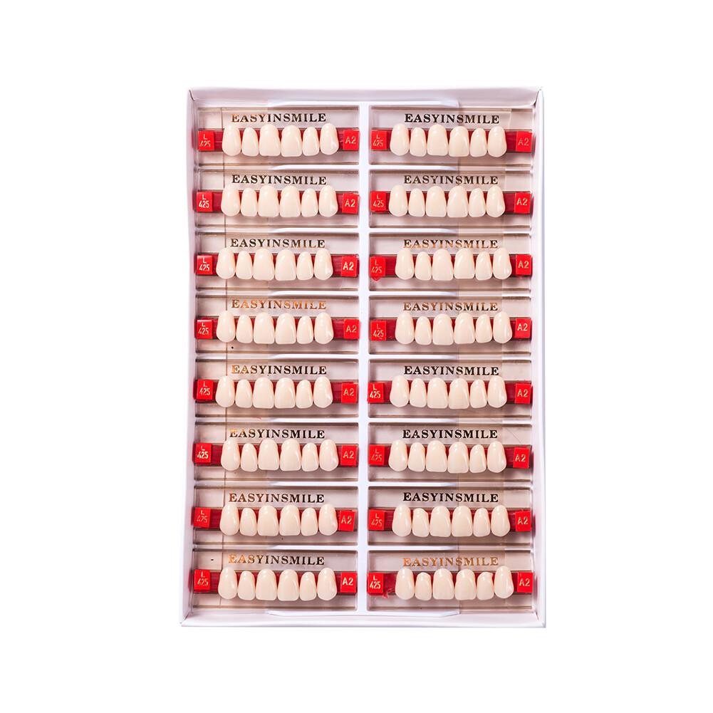 Dental Acrylic Resin Tooth Denture False Teeth Upper Anterior Lower 6Set*16Pc