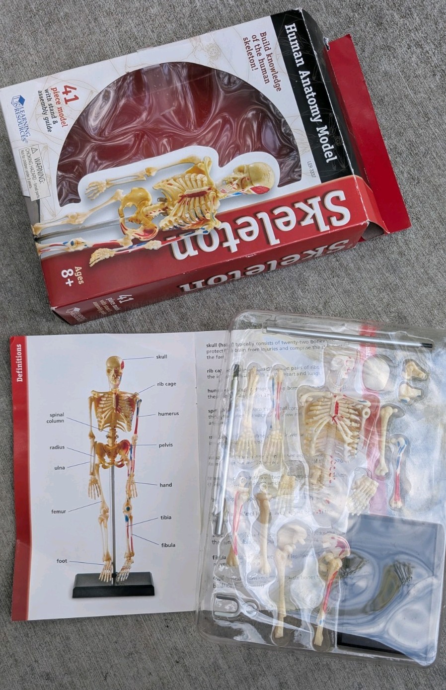 Learning Resources Human Anatomy Model Skeleton 41pc w/ Stand LER 3337 Lab
