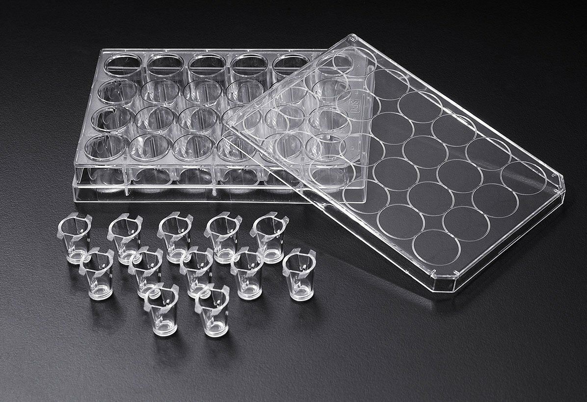 SPL Inserts Hanging PC membrane, 3 µm pore, Translucent 6.5 mm diam. Sterile