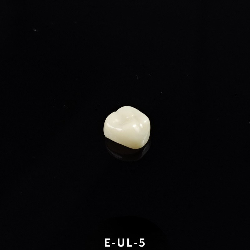 Dental Kids Zirconia Crowns Anterior/Posterior Teeth Primary Molar Crown 1pc/box