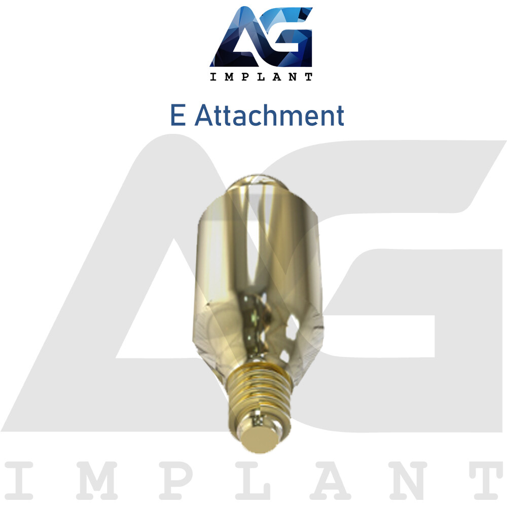 2 Straight E Attachment Hard Set Titanium Overdenture Int Hex