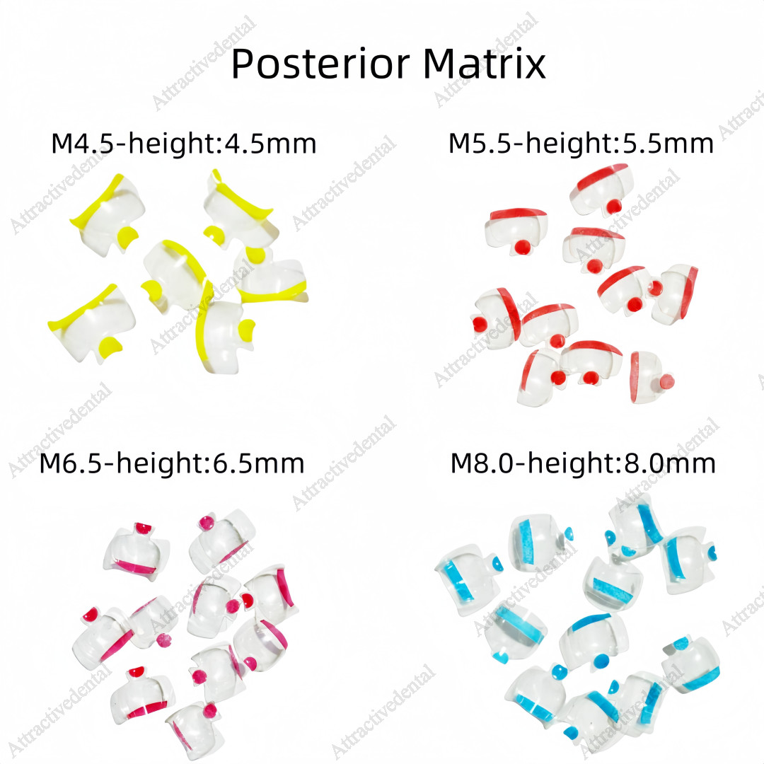 Clear Matrix Dental Anterior Posterior Transparent BT Matrices Fit BioClear USA
