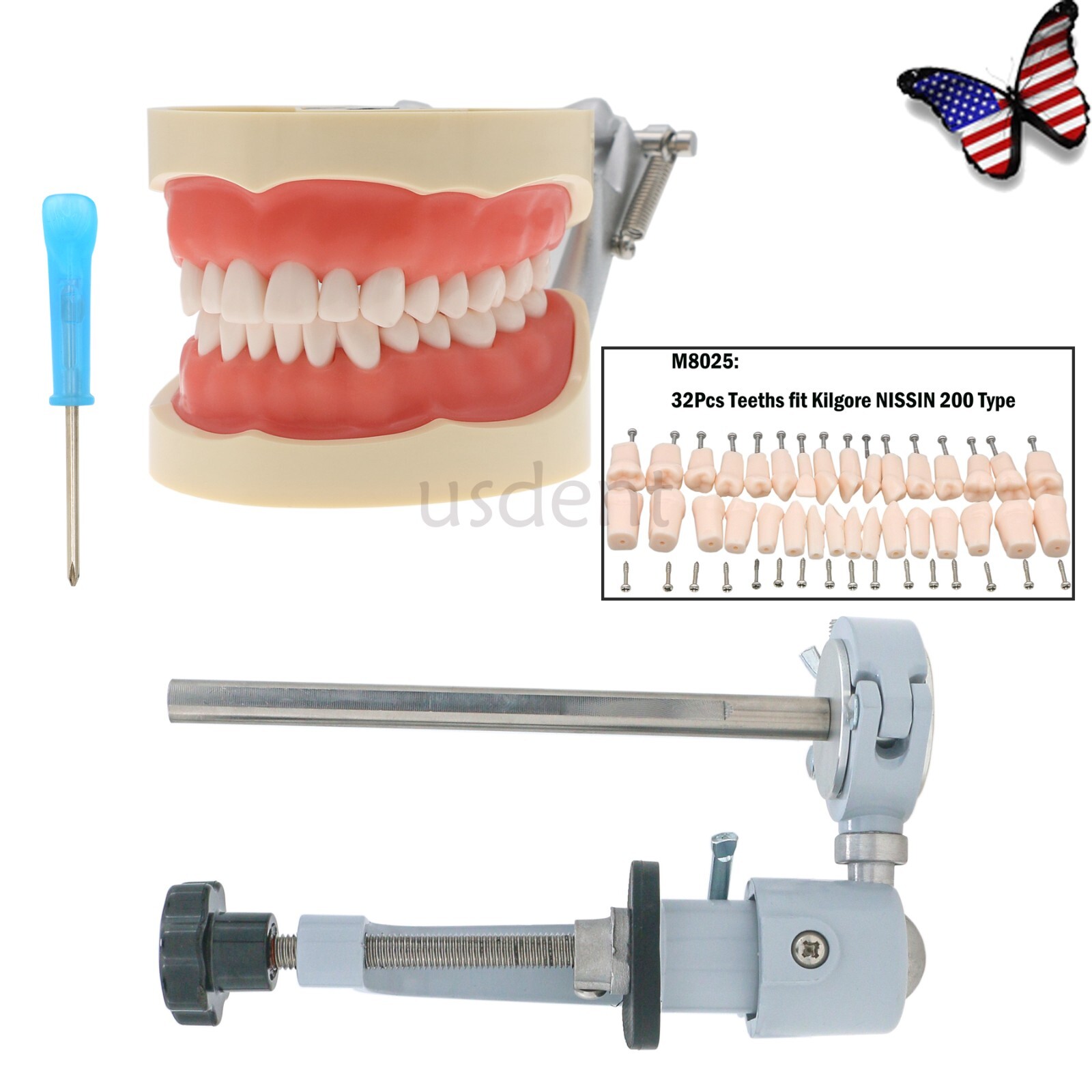 Kilgore Nissin 200 Type Dental 32pc Typodont Model Removable Teeth Mounting Pole
