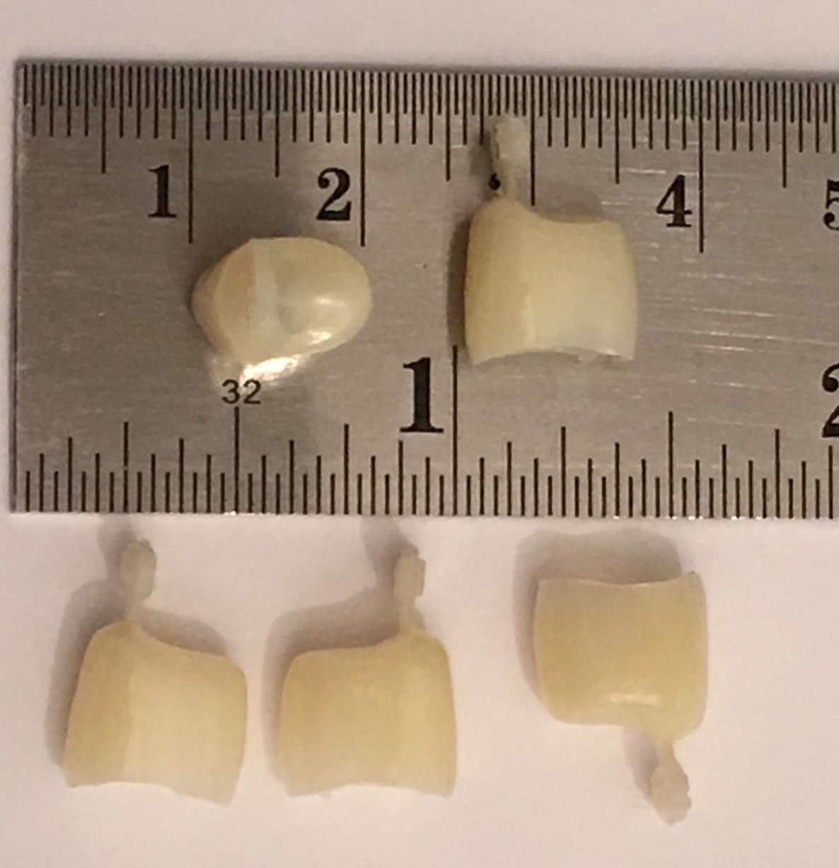Dental Polycarbonate Temporary Crowns 5 pcs #51