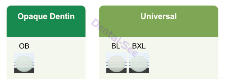 Dental Composite Light Cure Resin KULZER CHARISMA Diamond OB BL BXL Super White