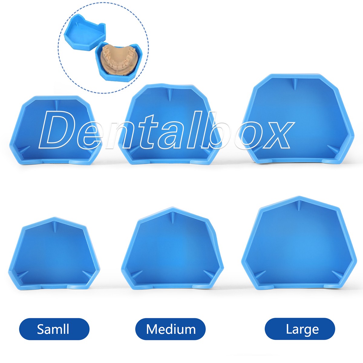 Dental Model Former Base Molds Blue Silicone Rubber Notches Plaster Types 6pcs