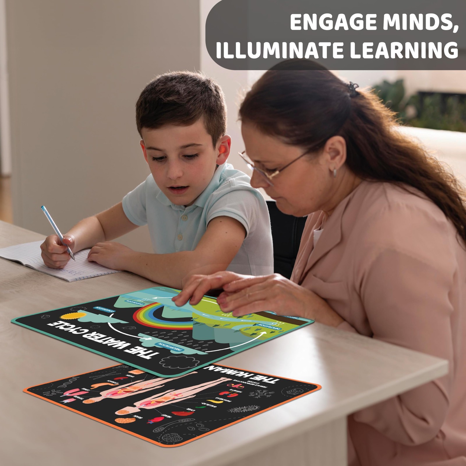 Jackinthebox 12 Science Posters For Classroom – 12 X 17 Inches Laminated Middle