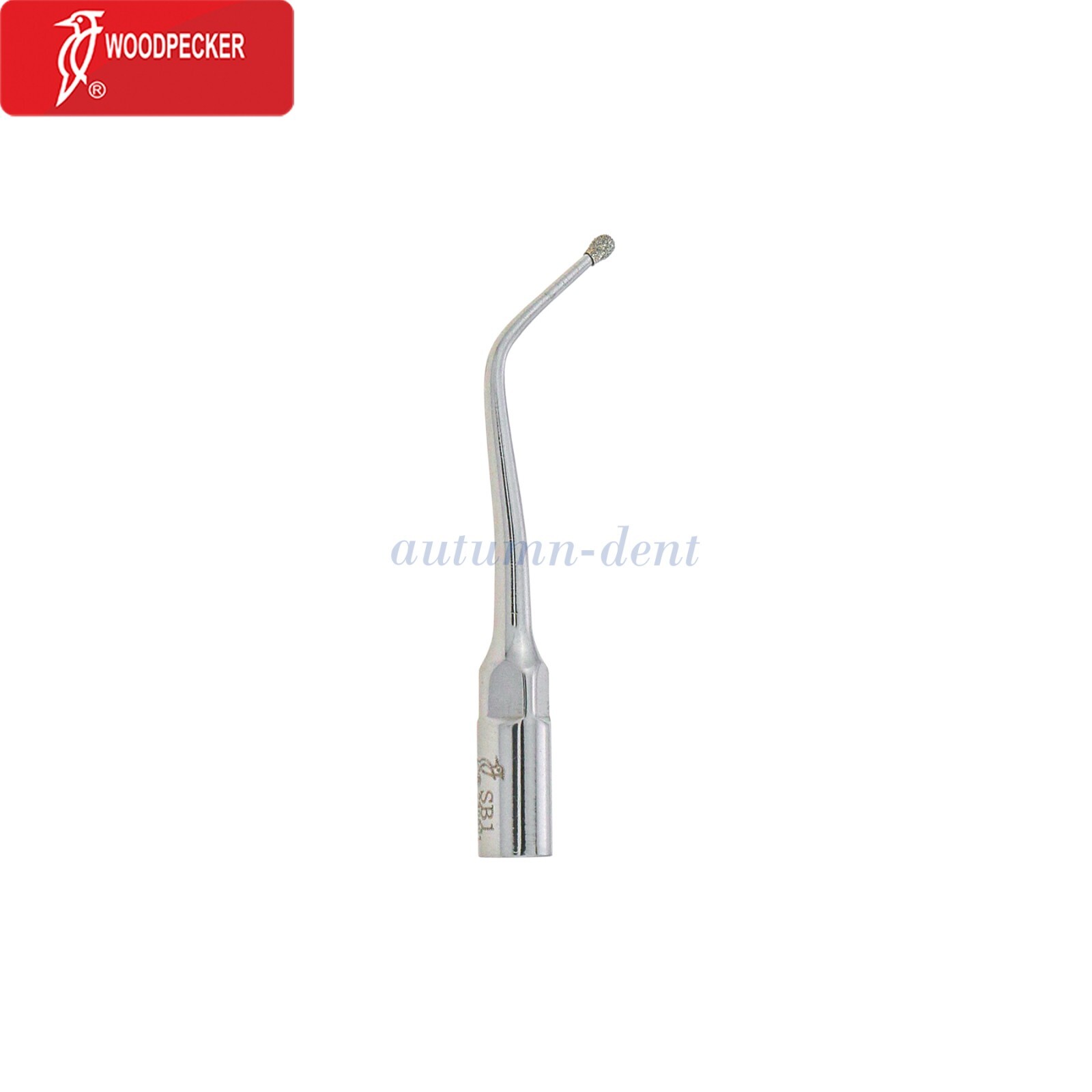 Woodpecker Dental Ultrasonic Scaler Scaling Tips Ball Diamond SB1 Type Fit EMS