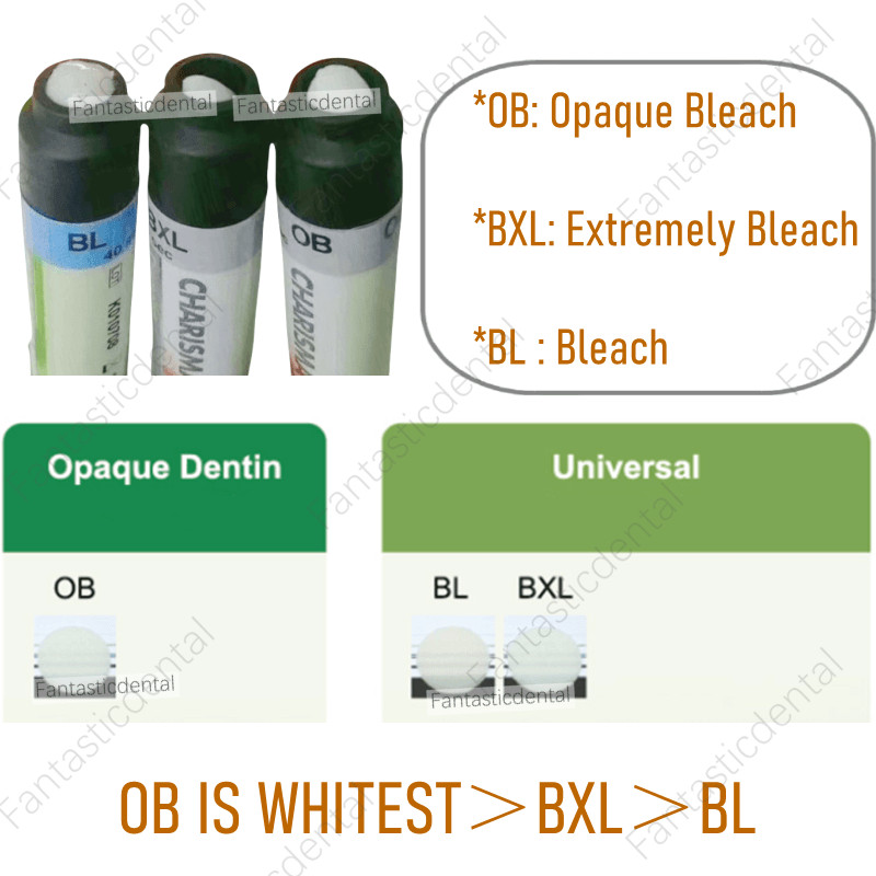 Dental KULZER CHARISMA Diamond OB Light Cure Composite Resin BL BXL Super White