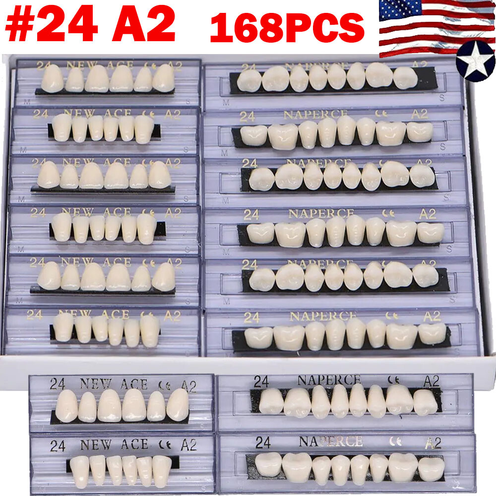 168Pcs Acrylic Resin Denture #24 Dental Upper Lower Shade A2 Teeth Set USA