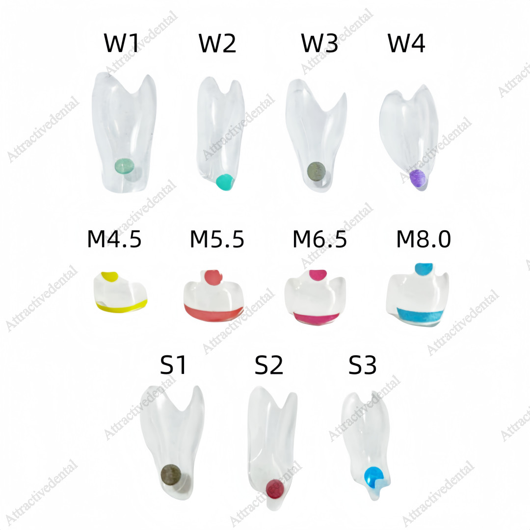 Clear Matrix Dental Anterior Posterior Transparent BT Matrices Fit BioClear USA