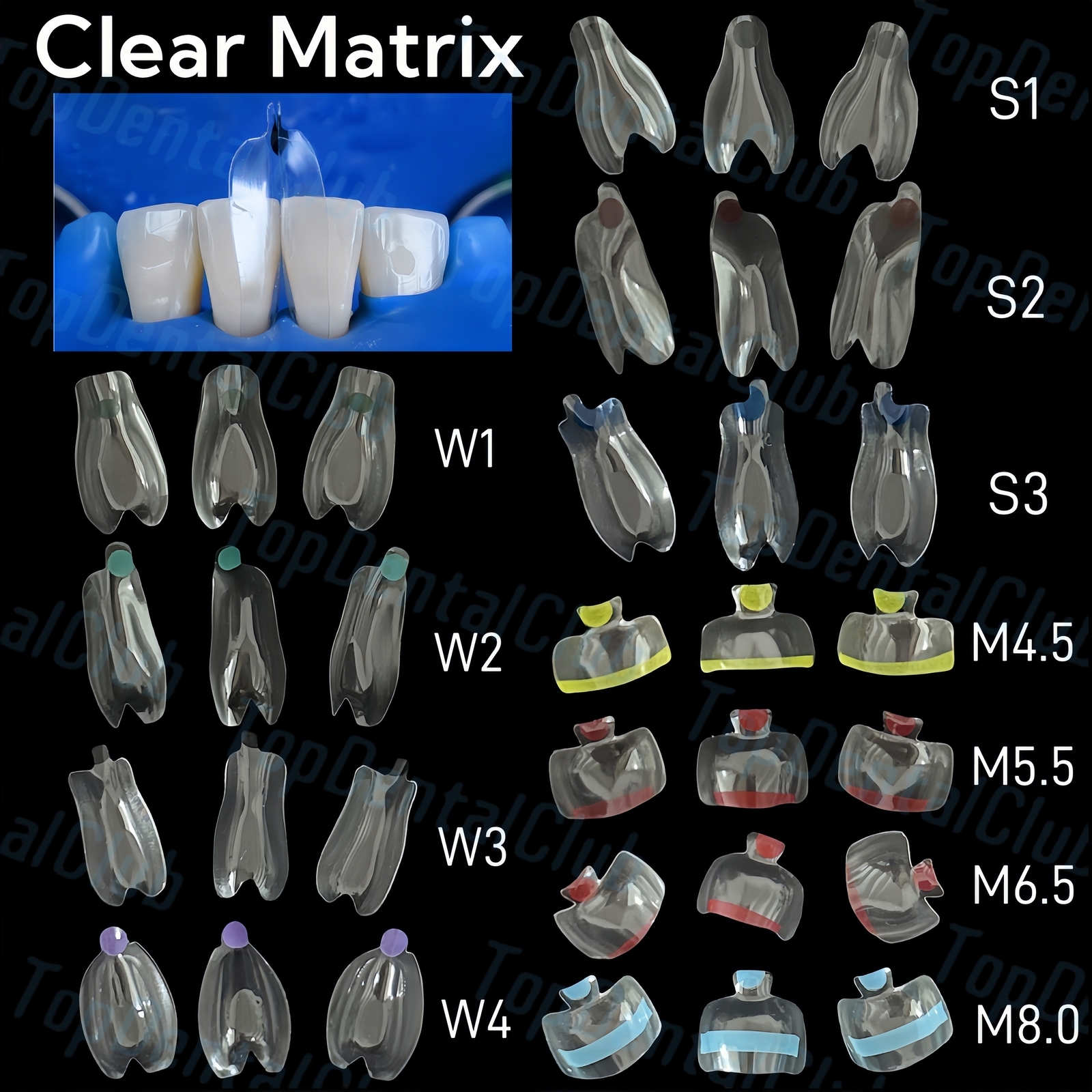 Clear Matrix Dental Anterior Posterior Transparent BT Matrices Fit BioClear