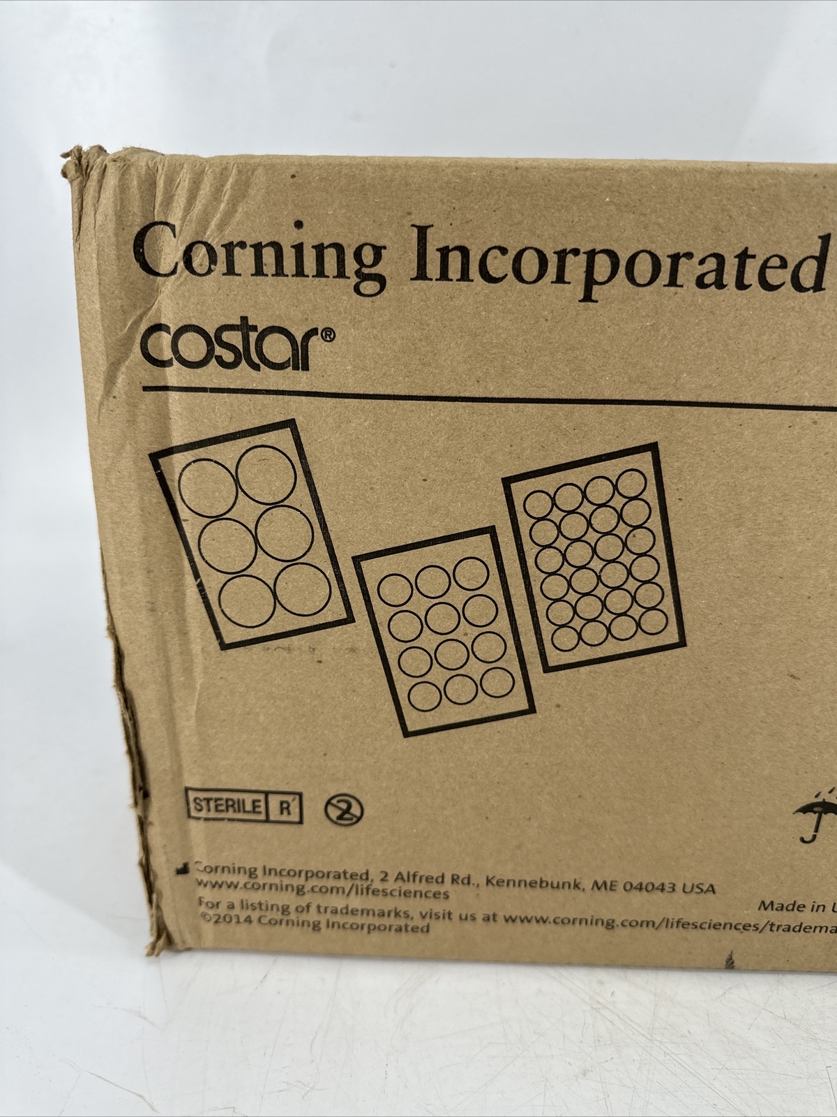 BOX OF 100 Corning Costar 3527 Cell Culture Plate 24 Well TC Treated NEW SEALED