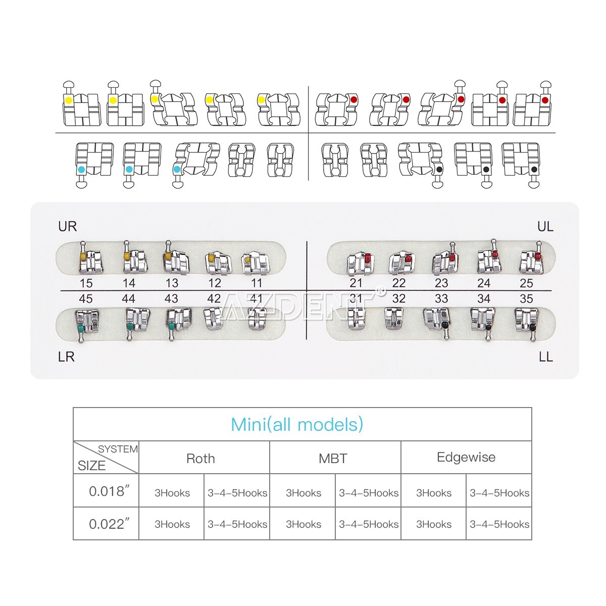 AZDENT Dental Orthodontic Metal Brackets Braces /Super Elastic Niti Arch Wires